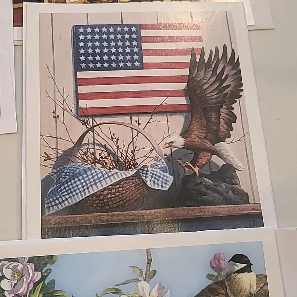 Americana 13 Blank Card Bundle